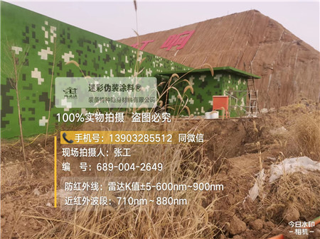 郴州星空迷彩墙施工队
