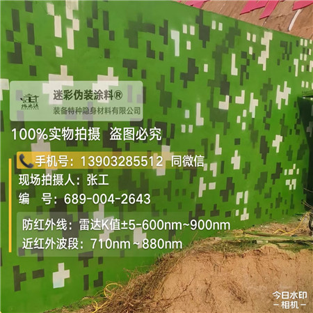 郴州星空迷彩漆，夏令营训练,数码迷彩作训墙,围墙